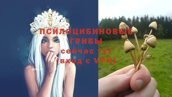 ГАЛЛЮЦИНОГЕННЫЕ ГРИБЫ Алзамай
