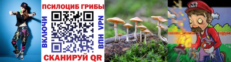 Галлюциногенные грибы Psilocybine cubensis  купить   это официальный сайт  Искитим 